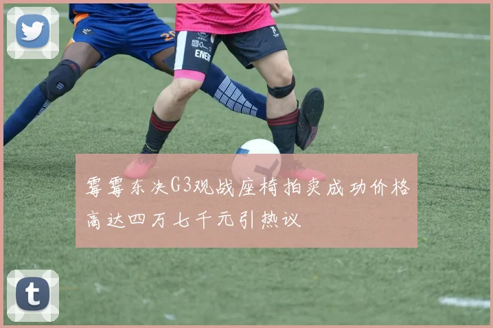 霉霉东决G3观战座椅拍卖成功价格高达四万七千元引热议